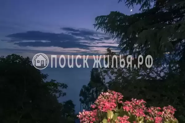 «Сосновый бор»