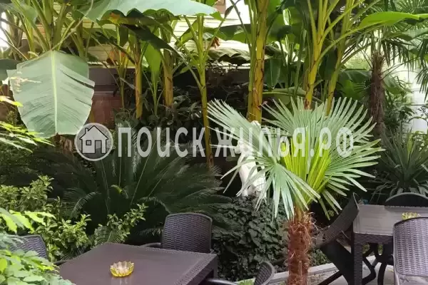 «Райский уголок»