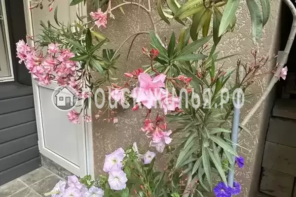 «Атмосфера»