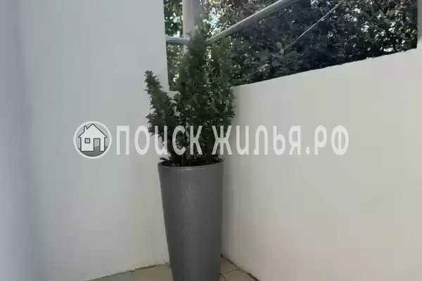 Гостевой дом «У Аллы» Гостевой дом «У Аллы»