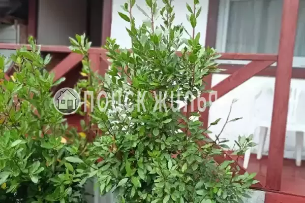 Частный сектор, Магистральная, д.22А