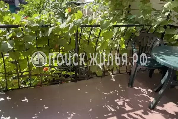 «На Виноградной» «На Виноградной»