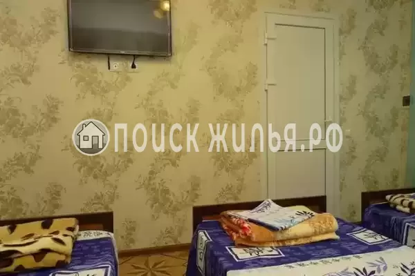 «Светлана» «Светлана»