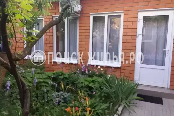 «Цоев ковчег»