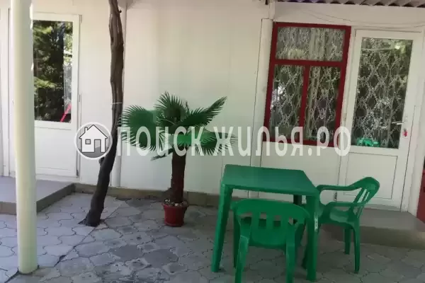 «Цоев ковчег»