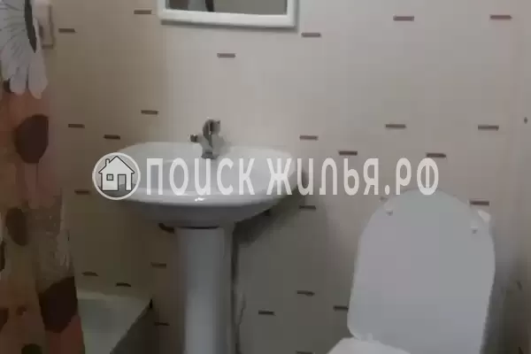 «Цоев ковчег»