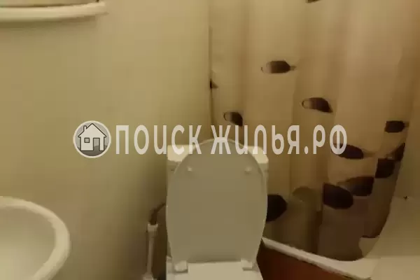 «Цоев ковчег»