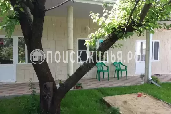 «Цоев ковчег»