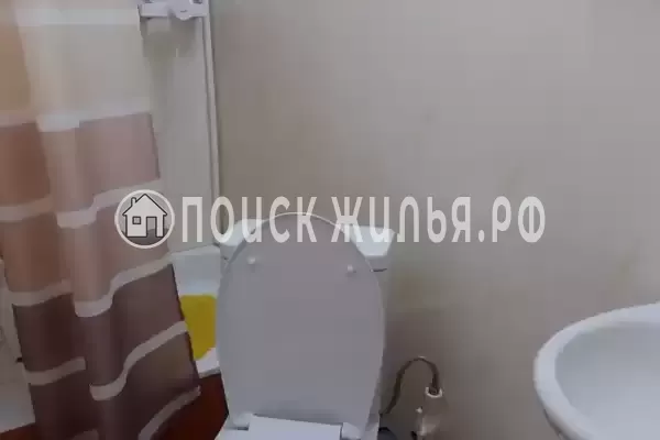 «Цоев ковчег»