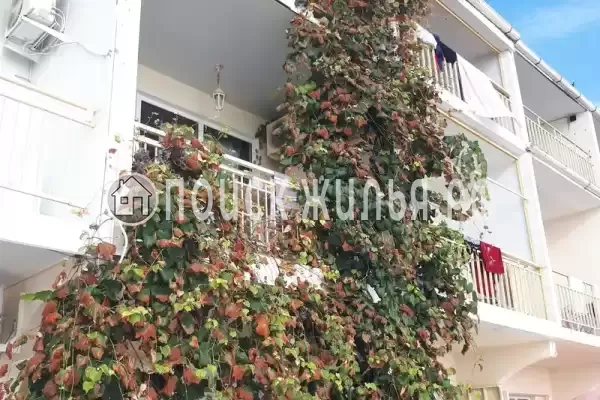 Частный сектор «Эллинг Семейный»