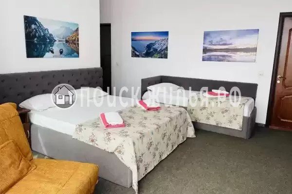 «Горная орхидея»