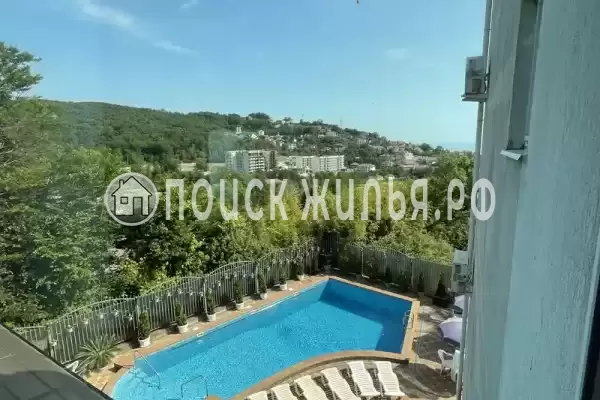 «Горная орхидея»