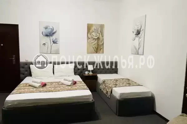 «Горная орхидея»