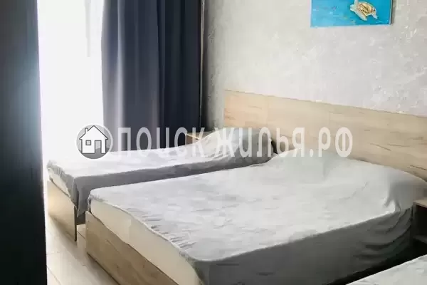 «Вероника» «Вероника»