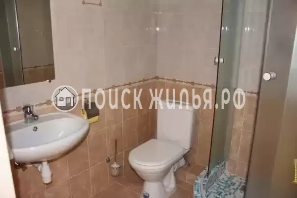 «Лесная сказка» «Лесная сказка»