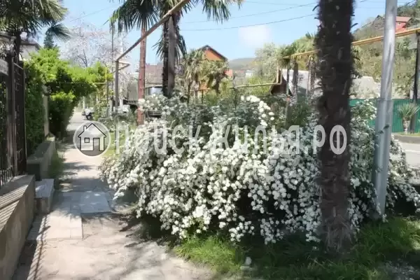 «Хижина Чука»