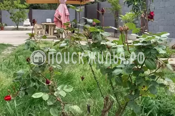 Гостевой дом, Пушкина, д.31