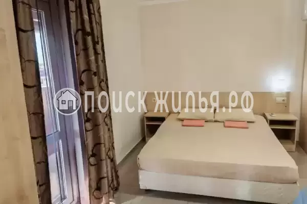 «Виноград» «Виноград»