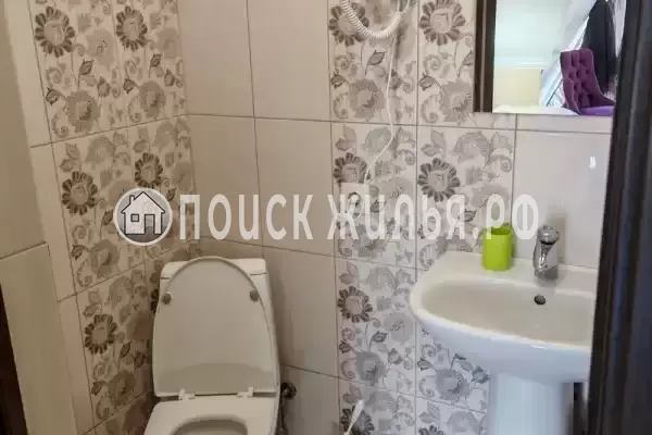 «Виноград» «Виноград»