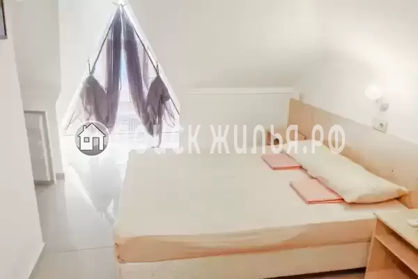 «Виноград» «Виноград»