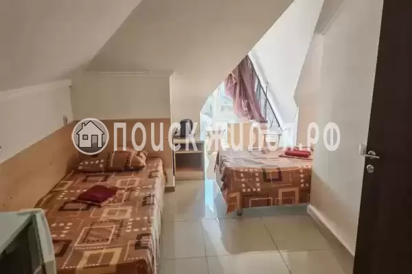 «Виноград» «Виноград»