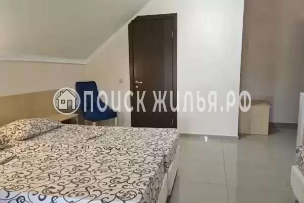 «Виноград» «Виноград»