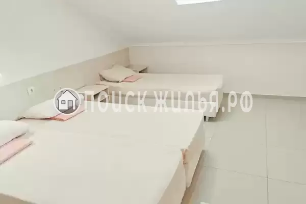 «Виноград» «Виноград»