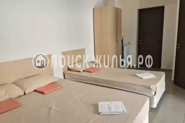 «Виноград» «Виноград»