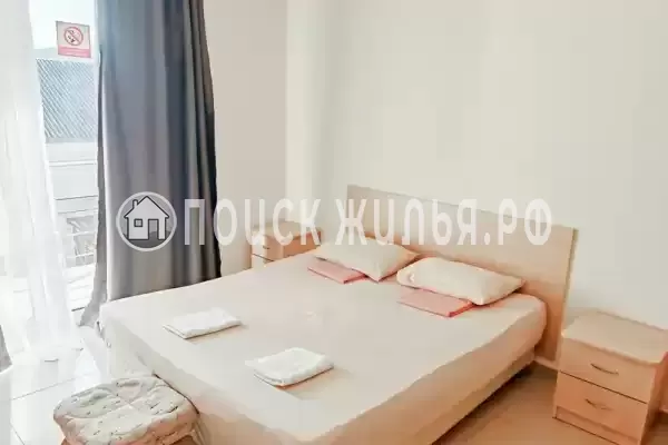 «Виноград» «Виноград»