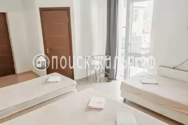 «Виноград» «Виноград»