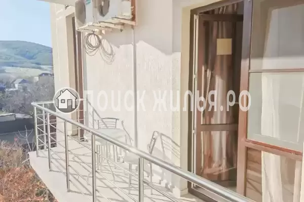 «Виноград» «Виноград»