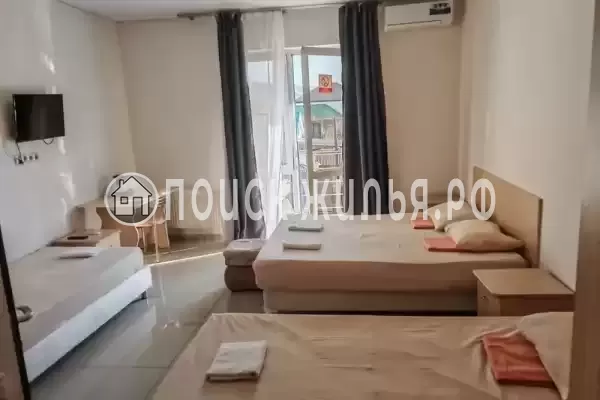 «Виноград» «Виноград»