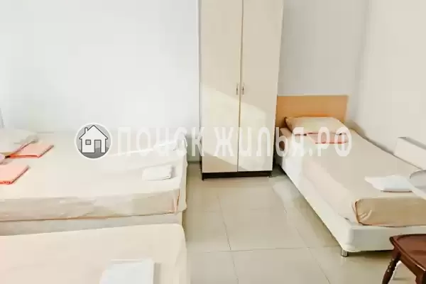 «Виноград» «Виноград»