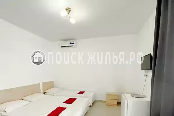 «Виноград» «Виноград»