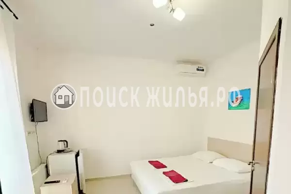 «Виноград» «Виноград»