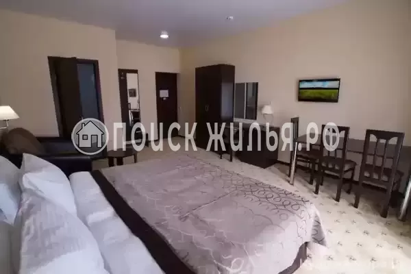 «Арлекино» «Арлекино»