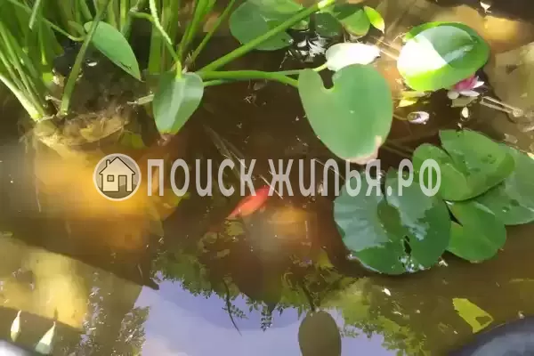 «Незабываемое лето»