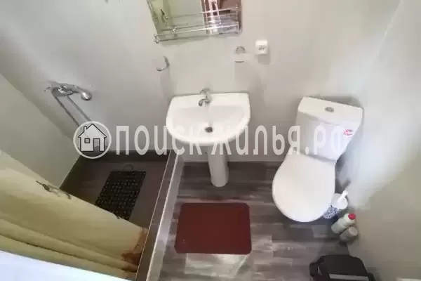 «Виола» «Виола»