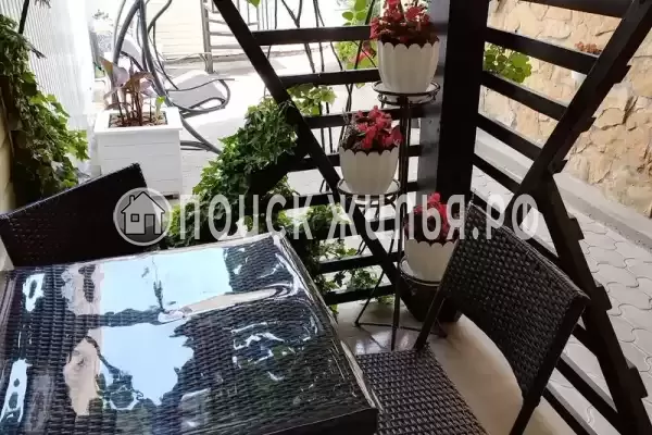 «Виола» «Виола»