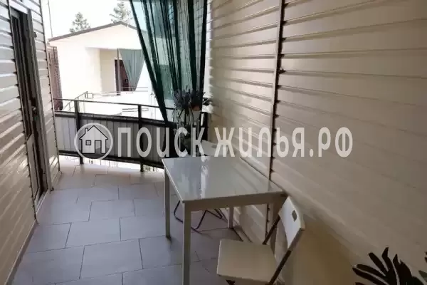 «Виола» «Виола»