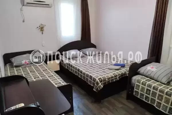 «Виола» «Виола»