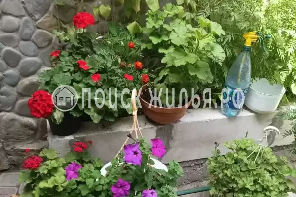 Частный сектор «Калипсо»