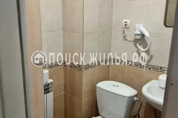 «Лиза» «Лиза»