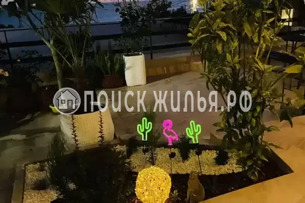 «На Мирной» «На Мирной»