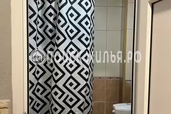 «Фламинго» «Фламинго»