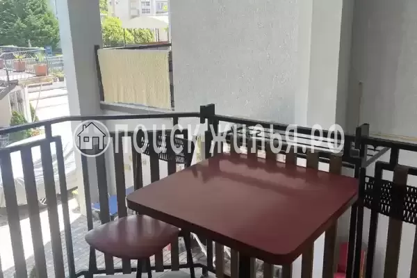 «Фламинго» «Фламинго»