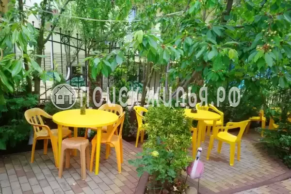 «Дивноморье»