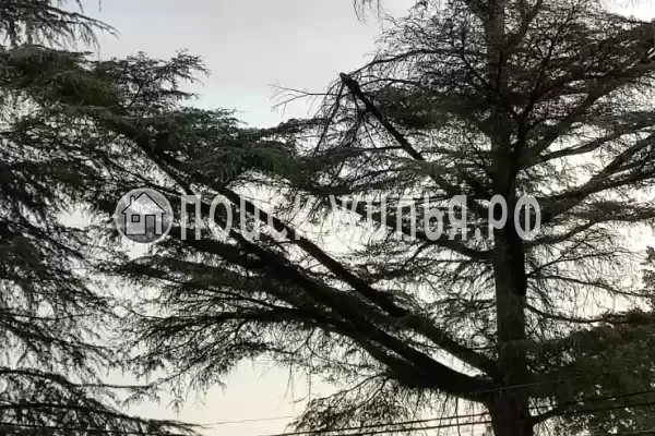 Гостевой дом «Sea Zone»