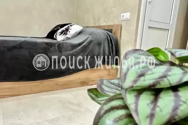 «Линария» «Линария»