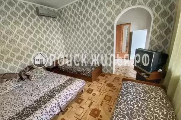 «Шаин» «Шаин»